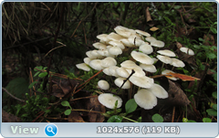 0_12afb4_c54f5ae3_orig.png