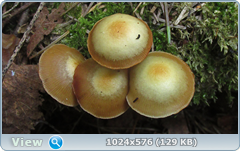 0_12bf1d_ec450621_orig.png