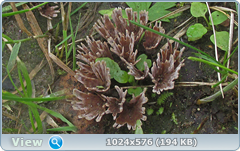 0_12c20f_7444c520_orig.png