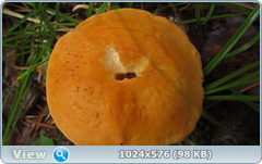 0_12c6c6_2782ac60_orig.png