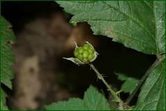 0_10087e_89769b76_orig.jpg
