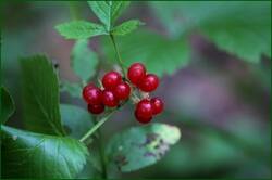 0_1493aa_8f0a9f1c_orig.jpg