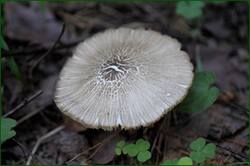 0_1493ac_9f977d4e_orig.jpg