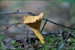0_1493b0_9e3d69ec_orig.jpg