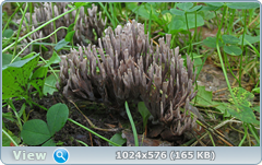0_12c1f5_6543d123_orig.png