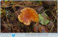 0_12dca8_1372f36b_orig.png