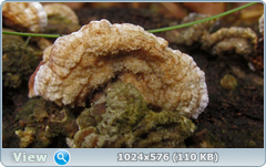 0_12dfd9_f4eb6747_orig.png
