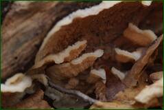 0_1027b6_3b05b07_orig.jpg