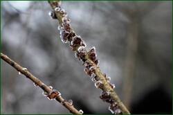 0_1532c9_dd636db8_orig.jpg