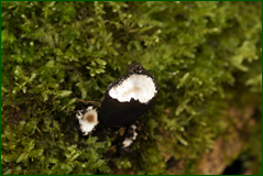 0_104f39_15b653d3_orig.png