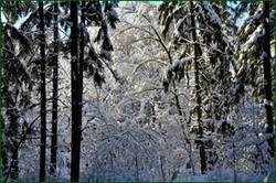 0_15628a_c4091617_orig.jpg