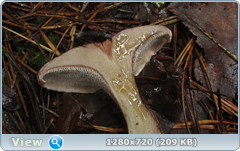 0_11069b_f94d3158_orig.png