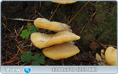 0_110911_e52e1599_orig.png