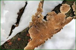 0_156125_ca8d2a02_orig.jpg