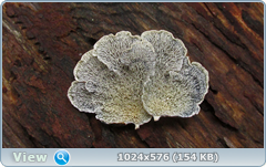 0_12df9b_3c5df83_orig.png