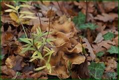 0_102905_7c2b6df9_orig.jpg