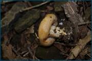 0_d0904_94762c7a_orig.jpg