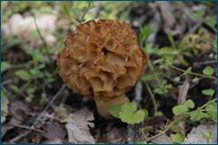 0_cce23_3c3315d3_orig.jpg