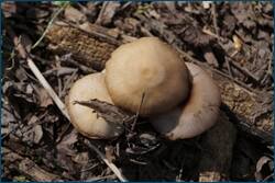 0_ccb76_618ad1e4_orig.jpg