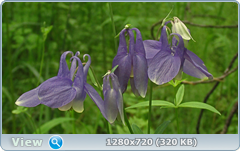 0_e6a38_1f55019c_orig.png