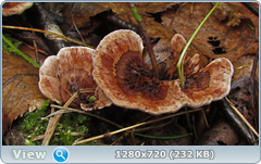 0_eb287_b948ebd3_orig.png