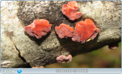 0_e3768_b6319869_orig.png