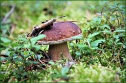 0_14b490_ce368c08_orig.jpg