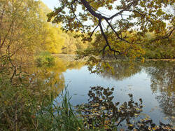 0_c3685_66723fc3_M.jpg