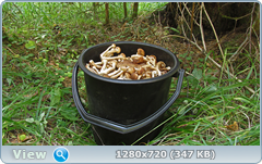 0_ef3ca_2f897495_orig.png