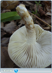 0_130d9c_70026fca_orig.png