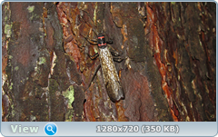 0_e6d29_71cdb706_orig.png