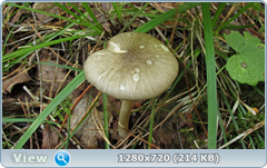 0_ea3cb_3415bc7a_orig.png