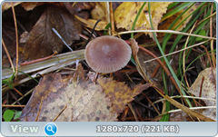 0_f3024_f1e362b9_orig.png