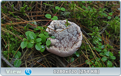 0_112250_b9c905c3_orig.png