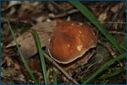 0_d2afa_655784cd_orig.jpg