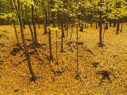 0_c369c_287b19bc_M.jpg