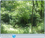 0_130d6e_599f7e2d_orig.png
