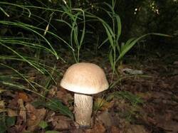 0_9701a_616ec5f9_M.jpg