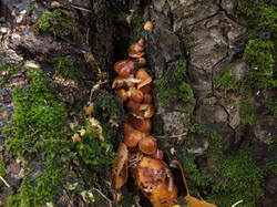 0_c5058_2bdc5eab_M.jpg
