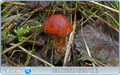 0_ea8d3_b270382a_orig.png