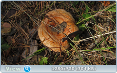0_ecfc9_21722371_orig.png