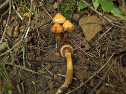 0_c2229_5ae518f5_M.jpg