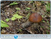 0_d4bfc_5d93a1e5_orig.png