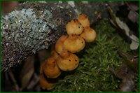0_c1a09_f8ffbe2c_orig.jpg