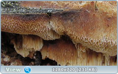 0_ef3ae_5132abf2_orig.png