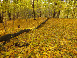 0_c3682_e182eb0a_M.jpg