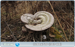 0_103df2_c6f08745_orig.png