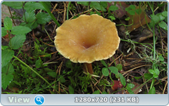 0_10b0e3_369d7974_orig.png