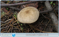 0_128e43_7ff8f3bf_orig.png