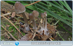 0_12ab3d_2ff07dea_orig.png